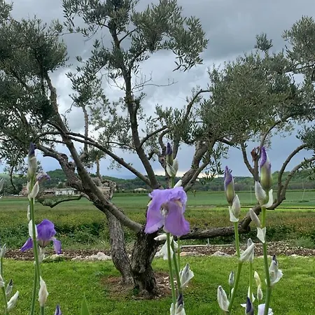La Petite Campagne 3* Mane (Alpes-de-Haute-Provence)