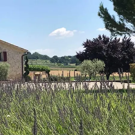 Bed & Breakfast La Petite Campagne 3*