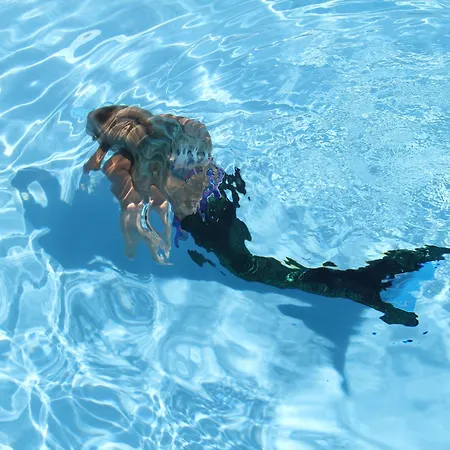 Bed & Breakfast La Petite Campagne Mane (Alpes-de-Haute-Provence)