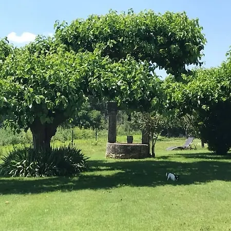 La Petite Campagne Couette-café Mane (Alpes-de-Haute-Provence)