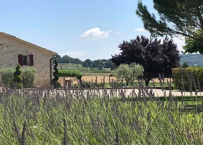 B&B La Petite Campagne 3*